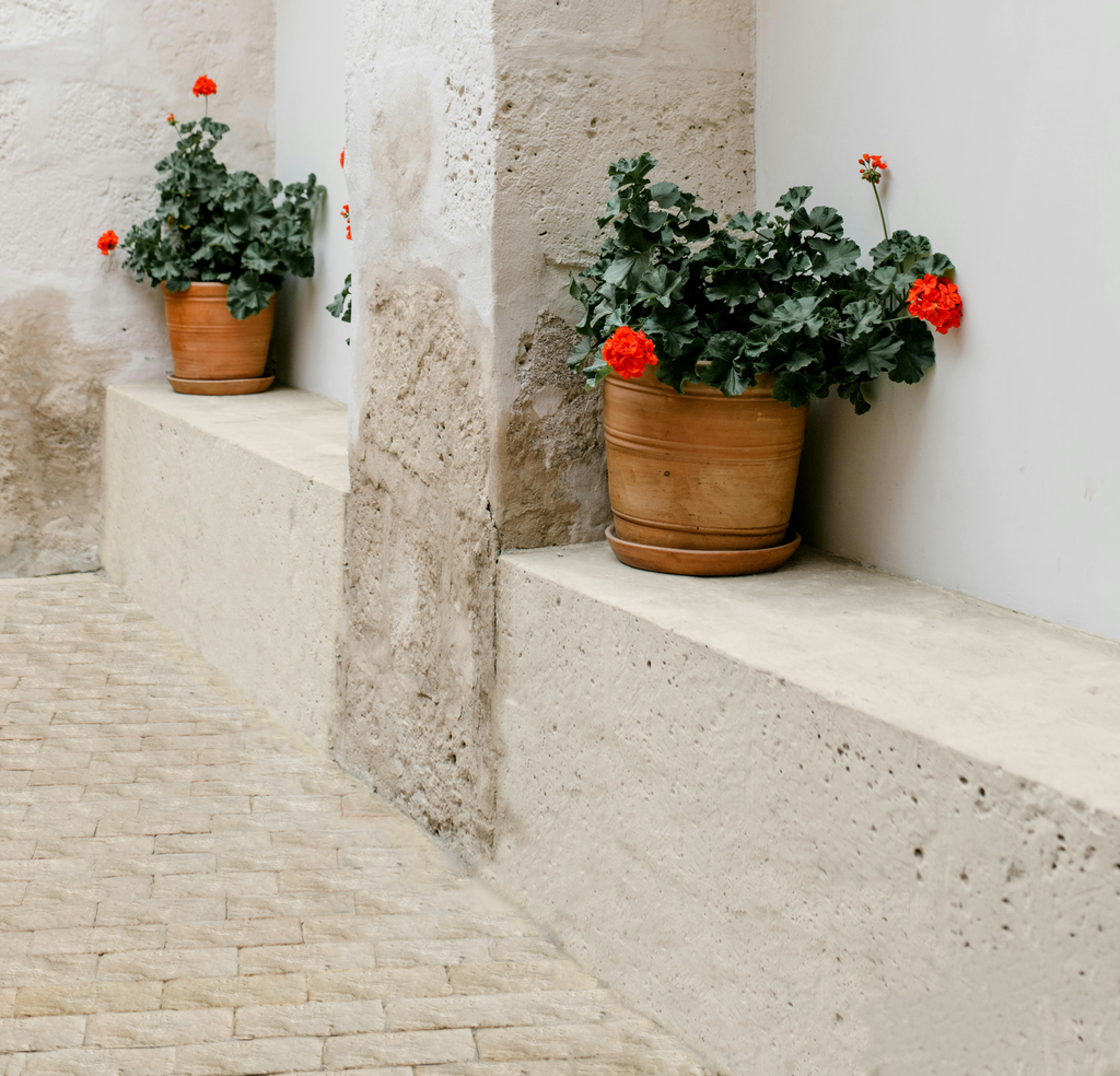 | Pavé longrine